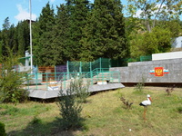 Территория детского лагеря «Кипарис», Алушта, ЮБК, фото 2