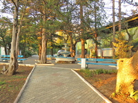 Территория детского лагеря «Ласпи», ЮБК, Балаклавский район, Севастополь, фото 8