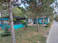 Территория детского лагеря «Зори Анапы», Анапа, Краснодарский край, фото 8