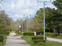 Территория парка, прилегающая к хостелу «Малибу», Евпатория, фото 8
